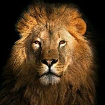 ti_gaa1's profile picture. Everything comes to you at the right time. Be patient and trust the process.