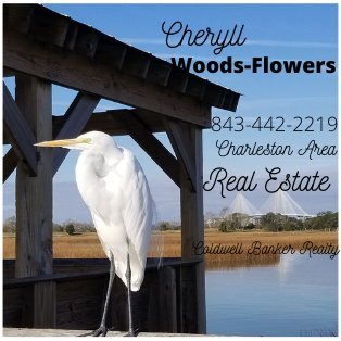 Former Mt Pleasant SC Mayor, accountant, #EndAlz adv, #Clemson/#CofC fan,exp real estate consultant passionate about the Charleston, SC area, Views are my own