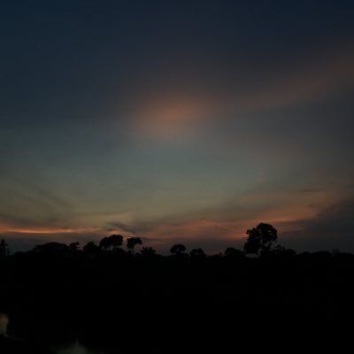 _____aswadhalim's profile picture. 