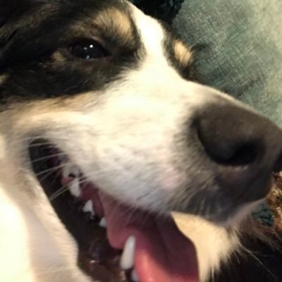 snapmap5's profile picture. 