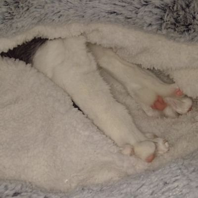 Helen59376905's profile picture. Organically hating Israel for free 👍