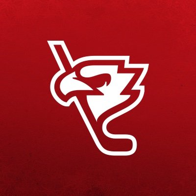 Oficjalne konto Polskiego Związku Hokeja na Lodzie / Official account of Polish Ice Hockey Federation