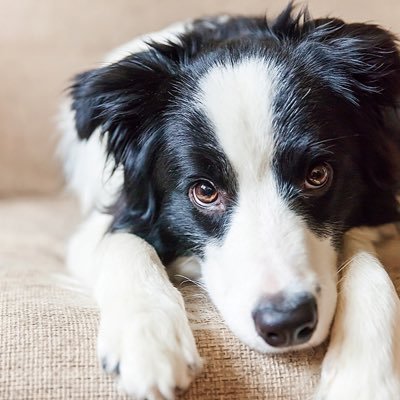 mmunjqwm's profile picture. 現在22歳☞底辺高校中退☞クソみたいな人生歩む☞億稼ぐ師匠の元で特殊アフィリエイト勉強中💫☞現在3ヶ月目（5桁達成）☞初月2200円☞目標100万達成します☞【誰だって稼ぎたいはず】 【まずは行動という一歩を踏み出せるかどうか】【一回の人生本当の意味で楽しもう】