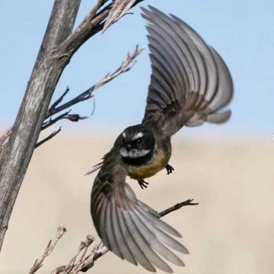 ApropoSensible's profile picture. Public servant, interested in economics, social sciences and public policy. Focused on urban economics. He/him. Opinions my own.