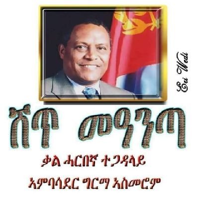 Belli_Gmedhin Profile Picture