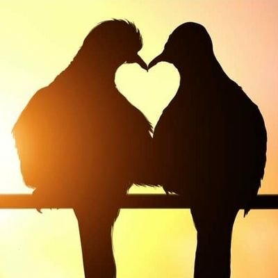 Alvic951's profile picture. ...