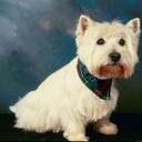 GARY HENNESSEY - @HPMCPATTON1 - Twitter