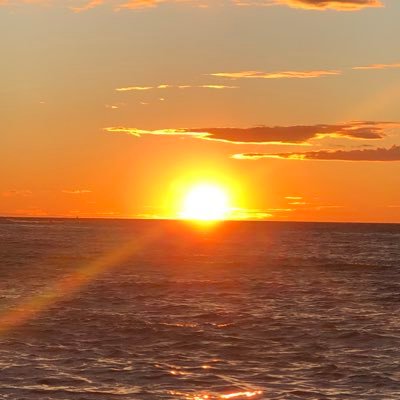 Lena18859506's profile picture. Ser möjligheter