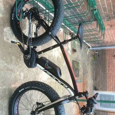 KEVINST31019858's profile picture. 