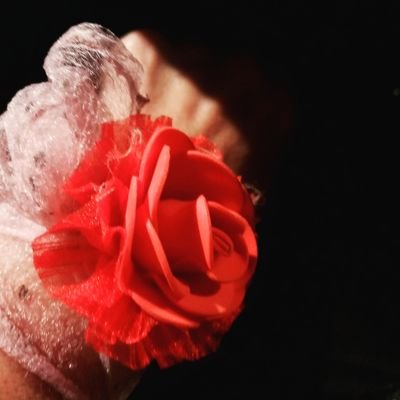 Mayte10707035's profile picture. Todo es posible