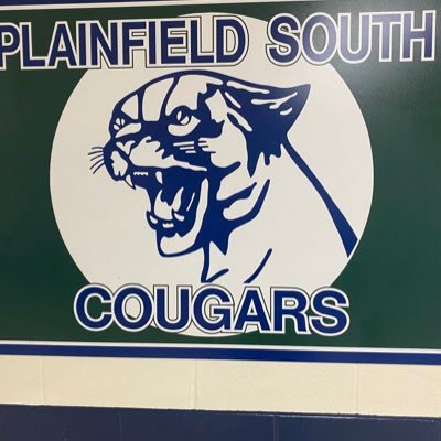 PSHSVSOFTBALL's profile picture. 