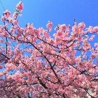 よしくん (@nkdysnr) 's Twitter Profile