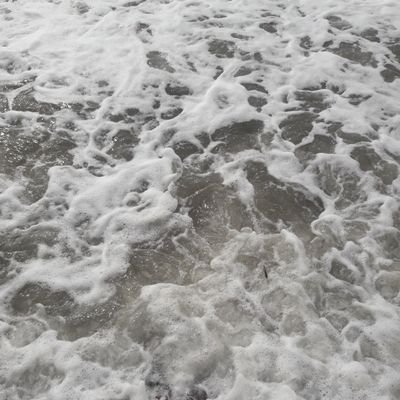 Anastas49460987's profile picture. .....