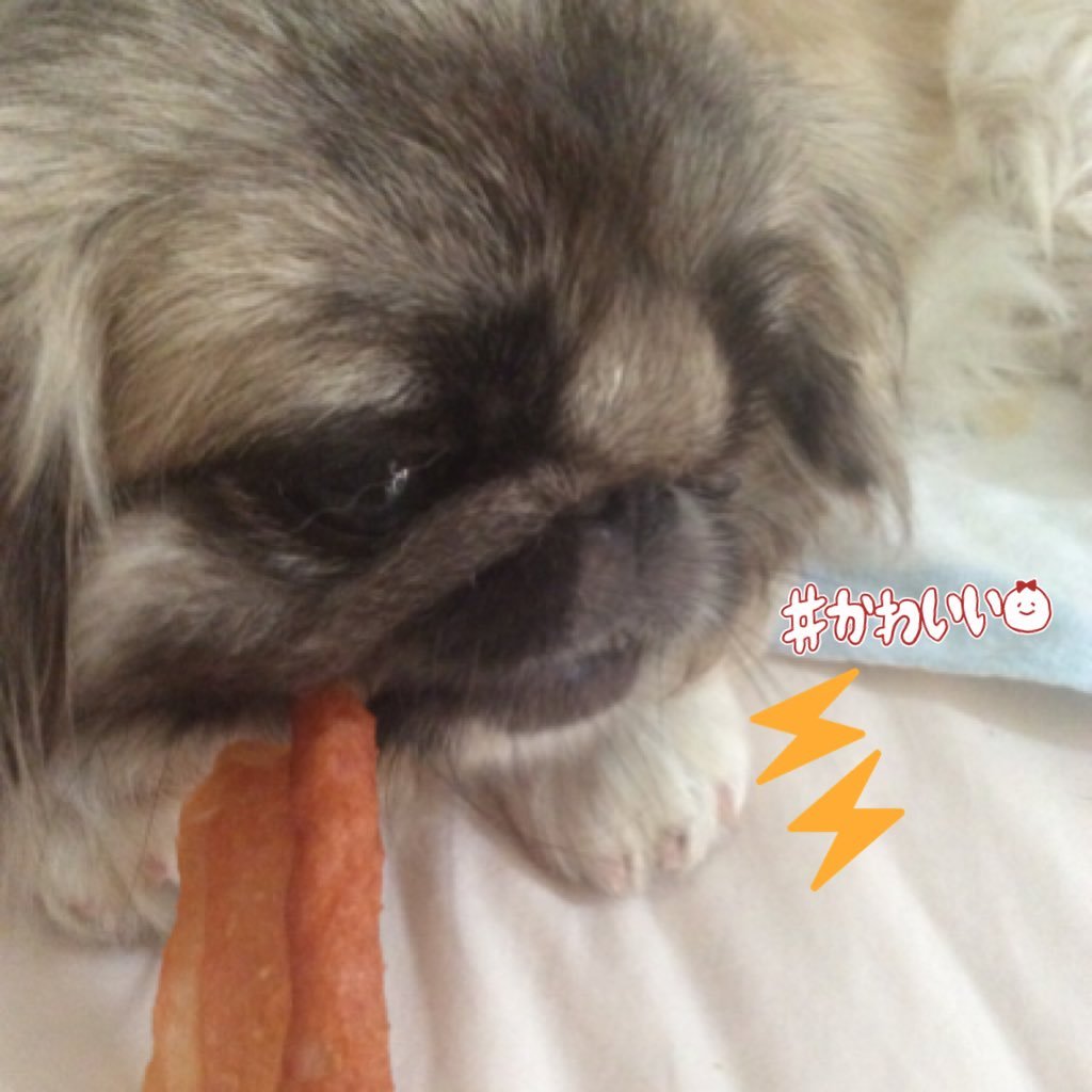 Shiori⚡️⚡️ のアバター