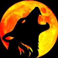badwolfe44 (@badwolfe44) 's Twitter Profile