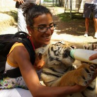 Loubna Hasseine-Silva (@coach_hasseine) 's Twitter Profile Photo Loubna Hasseine-Silva (@coach_hasseine) 's Twitter Profile Photo