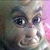 saucy truffle (@saucytruffle) Twitter profile photo saucy truffle (@saucytruffle) Twitter profile photo