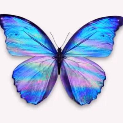 kimberleymumma's profile picture. I am my own Wisdom 🙏🏼 When I know my certainty is when I reveal the reality! but until that day I will await in silence, hope & in love & in light!#patients