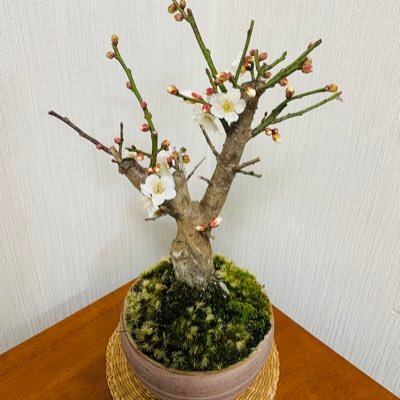 keycojiさんのプロフィール画像