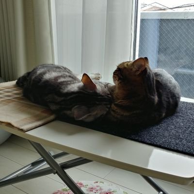 slowflow2021's profile picture. 