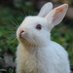Jardin 724480246 (@jardin724480246) Twitter profile photo