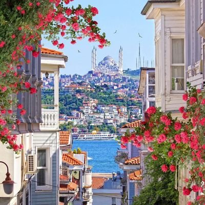 jzldbin's profile picture. 