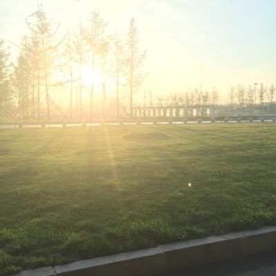 18552141wer's profile picture. 