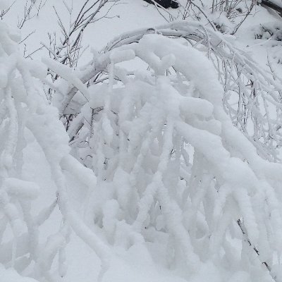 KimARitchie's profile picture. Post-doctoral Fellow, Trauma and Recovery Lab @TraumaMcMaster, Department of Psychiatry and Behavioural Neurosciences, McMaster University