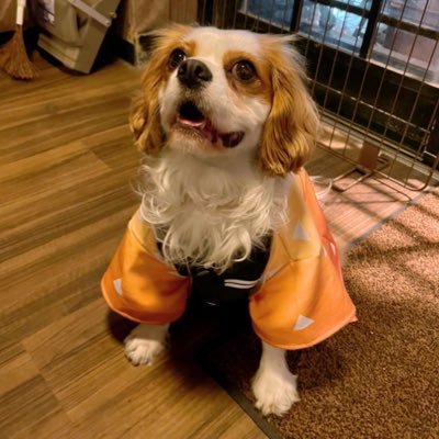 らぅじ 爽籟は実弥が産まれた秋の季語 要はカナメモチ 花は煉獄さんの生まれた5月に咲くとか調べればカラスの名前 もなんか色々ありそう らぅじ 爽籟は実弥が産まれた秋の季語 要はカナメモチ 花は煉獄さんの生まれた5月に咲くとか調べればカラスの名前 もなんか色々ありそう