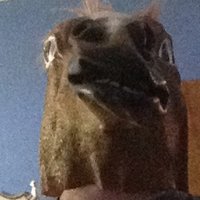Weasel (@weasel06749354) 's Twitter Profile