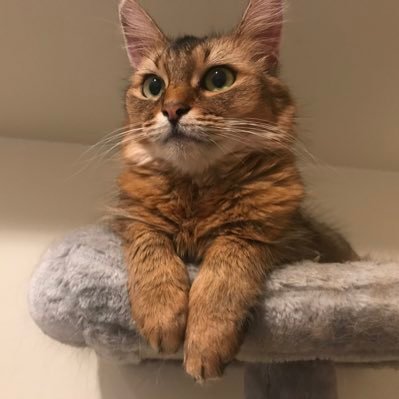 ioo_ooi0518's profile picture. 