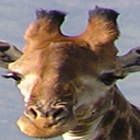 Andy Burge - @andy_burge - Twitter