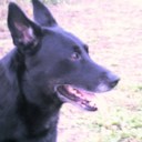 Will Houghton - @willhoughton85 - Twitter