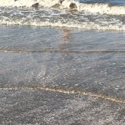 aboalfadl77's profile picture. محبُ للصالحين، طالب علم