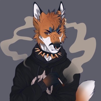 RayzorTheFoxさんのプロフィール画像