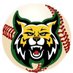 BishopState Baseball (@Baseball_bscc) Twitter profile photo