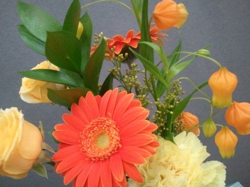 romanairplay's profile picture. 