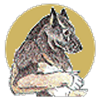 The Werewolf (@theowerewolf) 's Twitter Profile