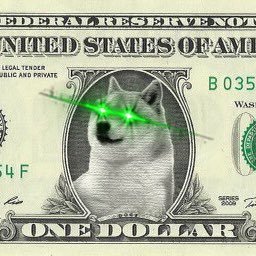 much memez. many wows. I am doge porn. woof. I #HODL #Dogecoin and #btc