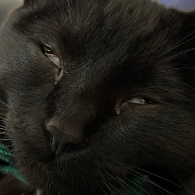 fleedar's profile picture. @fleedar@mas.to