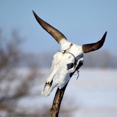 Entropic_Dismay's profile picture. I’m on BlueSky now as EntropicDismay.