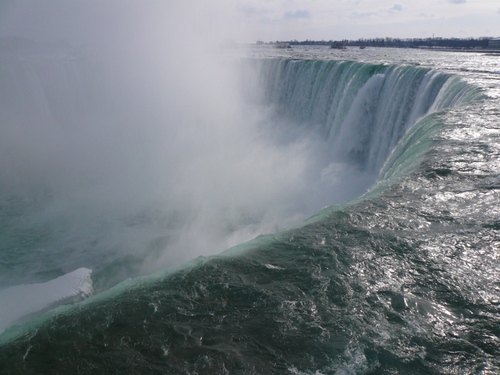 tommyta0602's profile picture. 