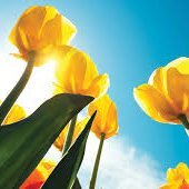 AyannaWrites23's profile picture. 