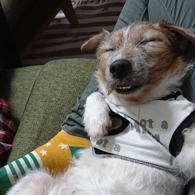 ozkT6's profile picture. 動物好き　躰道家　静岡

最近活動量減って、体重は反比例式に増えてる🤣

#躰道
#静岡