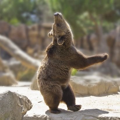 viewskygreat's profile picture. 