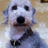 amanda (@amandaj_blue) 's Twitter Profile Photo amanda (@amandaj_blue) 's Twitter Profile Photo