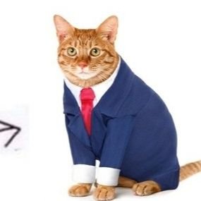 selivan96's profile picture. 