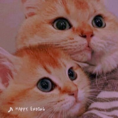 ‏‏‏‏‏‏‏‏‏‏‏يَسْكُنَنِي صَبْرٌ وَ انْتظَارْ وَ ثالِثَهُما اشْتِيَاقٌ..🤍