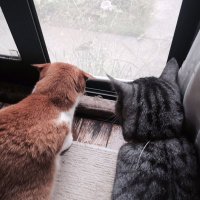 ひーくん　様　専用 Amazon.co.jp: MAXZIQF 昭和教材 LEDライト付☆防犯ブザー