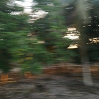 Wtf (@wtf_ngel) 's Twitter Profile Photo